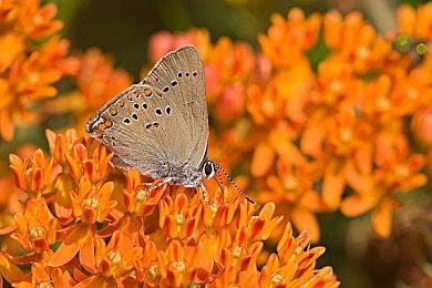 《VR战士5 R.E.V.O.》将有官方世界大赛 冠军10万美元